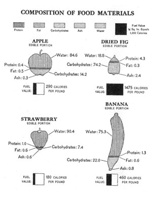 [Illustration: Composition of food materials]